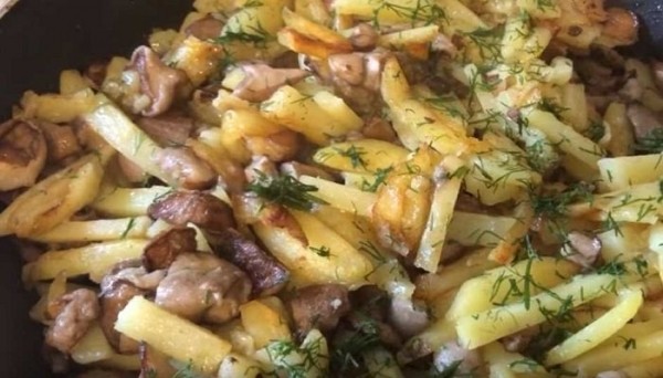 Рецепты жареной картошки с грибами на сковороде с фотографиями Рецепты жареной картошки с грибами на сковороде с фотографиями