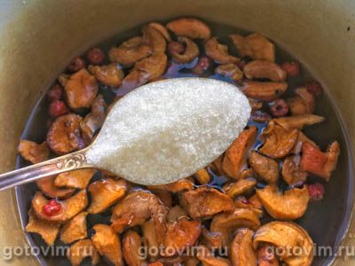 Компот из сушеных яблок и свежих ягод Компот из сушеных яблок и свежих ягод