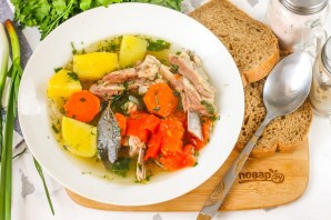 Шурпа с помидорами