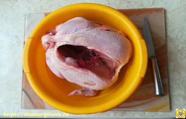 Курица с яблоками в духовке целиком, рецепт с хрустящей корочкой Курица с яблоками в духовке целиком, рецепт с хрустящей корочкой