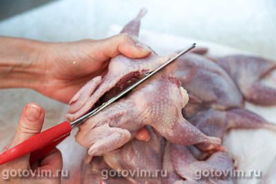 Перепела на мангале в маринаде из уксуса с луком Перепела на мангале в маринаде из уксуса с луком