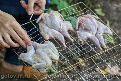Перепела на мангале в маринаде из уксуса с луком Перепела на мангале в маринаде из уксуса с луком