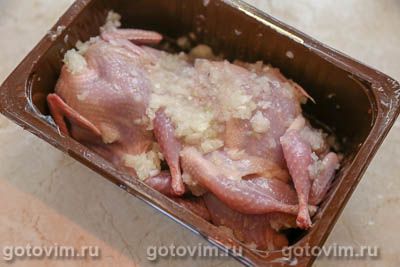 Перепела на мангале в маринаде из уксуса с луком Перепела на мангале в маринаде из уксуса с луком