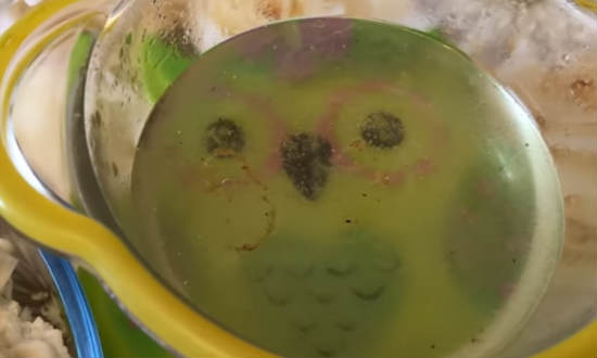 Салат из цветной капусты по-корейски с морковью — очень вкусные рецепты приготовления Салат из цветной капусты по-корейски с морковью — очень вкусные рецепты приготовления