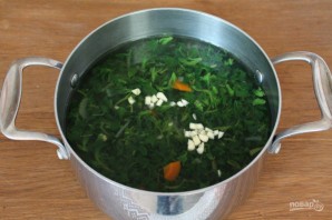 Суп из крапивы без мяса