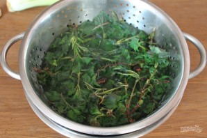 Суп из крапивы без мяса