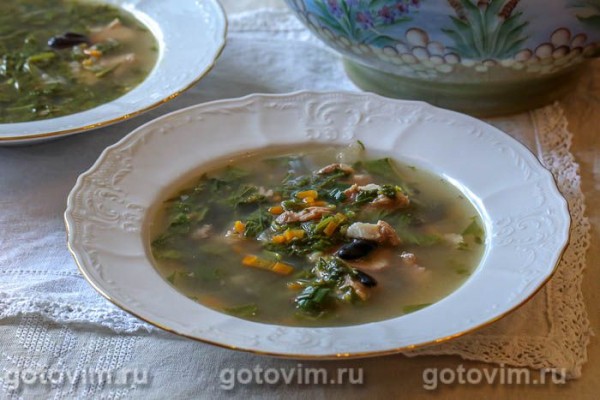 Суп из сныти с мясом и фасолью Суп из сныти с мясом и фасолью