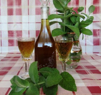 Мятный ликёр Мятный ликёр