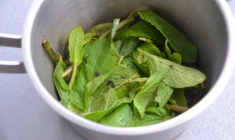 Мятный зефир Мятный зефир