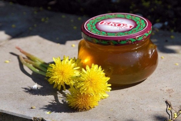 Рецепты приготовления варенья из одуванчиков и его полезные свойства