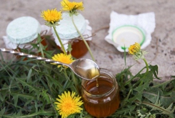 Рецепты приготовления варенья из одуванчиков и его полезные свойства