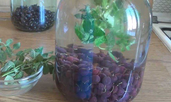  Компот ассорти на зиму из фруктов и ягод — вкуснейшие рецепты на 3 литровую банку