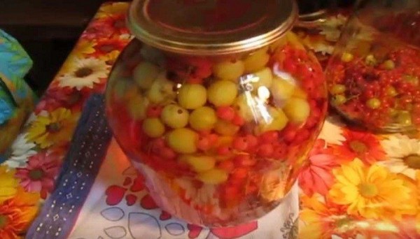 Компот ассорти на зиму из фруктов и ягод — вкуснейшие рецепты на 3 литровую банку