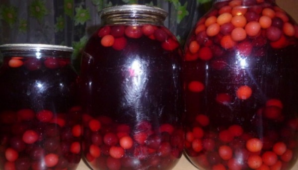 Компот ассорти на зиму из фруктов и ягод — вкуснейшие рецепты на 3 литровую банку