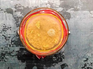 Молочный суп с перловкой Молочный суп с перловкой