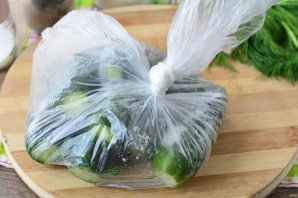 Огурцы малосольные в пакете с чесноком