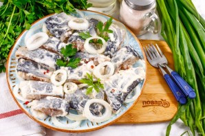 Селедка в майонезе с луком