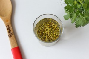 Суп с говядиной и машем