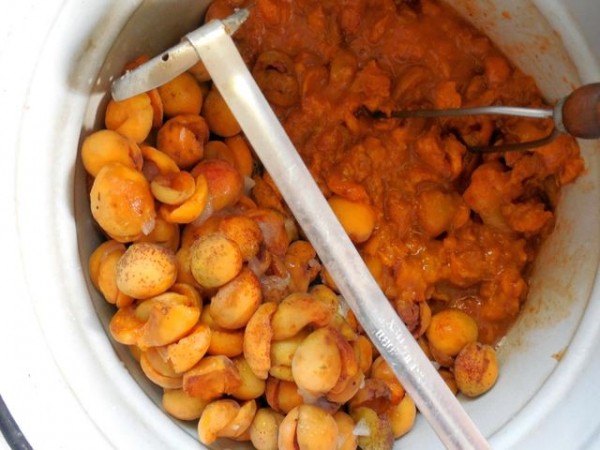 Вино из абрикосов в домашних условиях простой рецепт без дрожжей Вино из абрикосов в домашних условиях простой рецепт без дрожжей