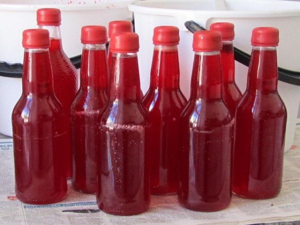 Вино из вишни с косточками, простой рецепт в домашних условиях Вино из вишни с косточками, простой рецепт в домашних условиях