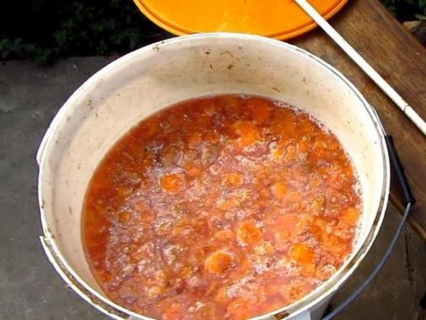 Вино из абрикосов в домашних условиях простой рецепт без дрожжей Вино из абрикосов в домашних условиях простой рецепт без дрожжей