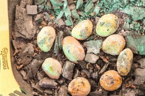 Картошка печеная в золе