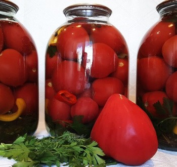 Маринованные помидоры на зиму Маринованные помидоры на зиму