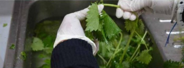 Омлет в духовке с сыром, простые и вкусные рецепты с фото Омлет в духовке с сыром, простые и вкусные рецепты с фото