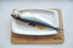 Селедка сухого посола