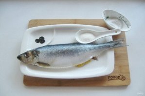 Селедка сухого посола