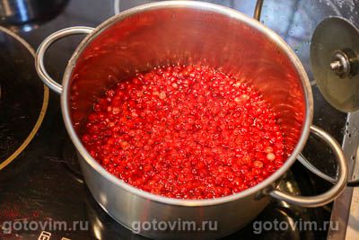 Соус из красной смородины к мясу на зиму Соус из красной смородины к мясу на зиму