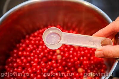 Соус из красной смородины к мясу на зиму Соус из красной смородины к мясу на зиму