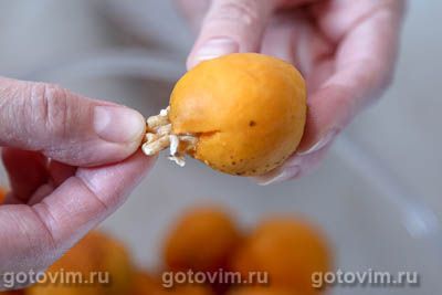 Варенье из абрикосов с грецкими орехами Варенье из абрикосов с грецкими орехами