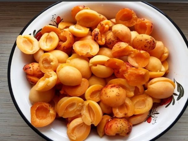 Вино из абрикосов в домашних условиях простой рецепт без дрожжей Вино из абрикосов в домашних условиях простой рецепт без дрожжей