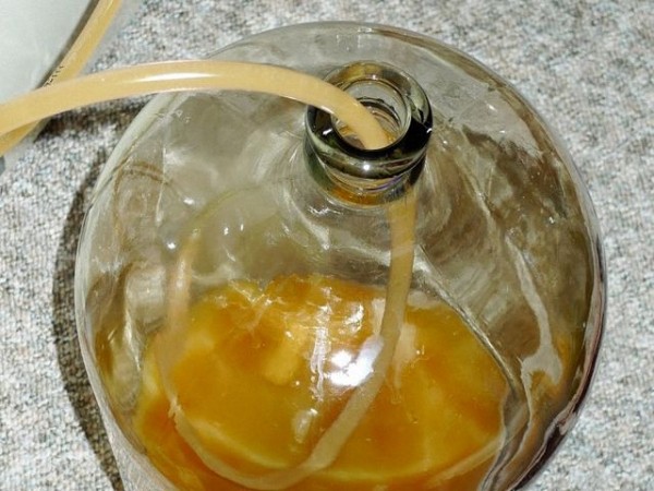 Вино из абрикосов в домашних условиях простой рецепт без дрожжей Вино из абрикосов в домашних условиях простой рецепт без дрожжей