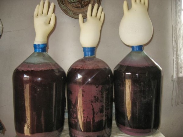 Вино из вишни с косточками, простой рецепт в домашних условиях Вино из вишни с косточками, простой рецепт в домашних условиях