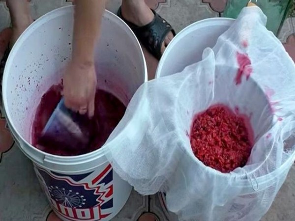 Вино из вишни с косточками, простой рецепт в домашних условиях Вино из вишни с косточками, простой рецепт в домашних условиях