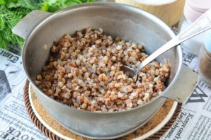 Бефстроганов с гречкой