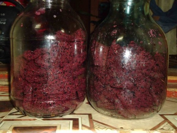  Вино из черноплодной рябины в домашних условиях — простые рецепты