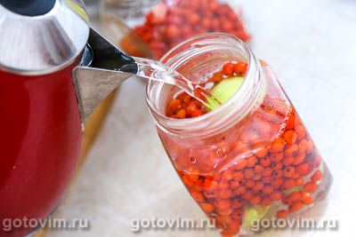 Компот из красной рябины с яблоками