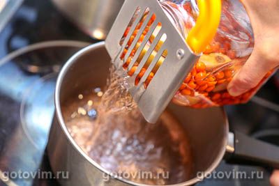 Компот из красной рябины с яблоками