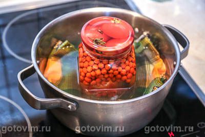 Компот из красной рябины с яблоками