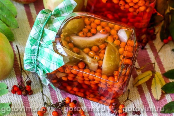 Компот из красной рябины с яблоками