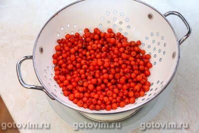 Компот из красной рябины с яблоками