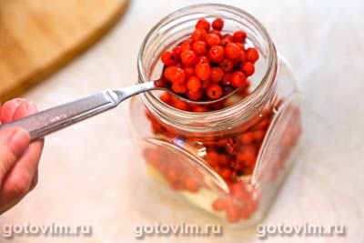 Компот из красной рябины с яблоками