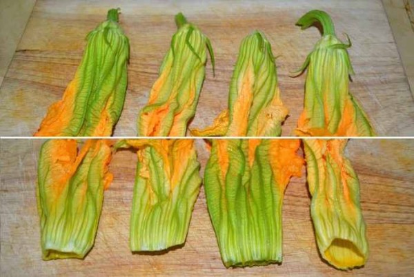 Омлет на сковороде с молоком и сыром — 5 простых рецептов с фото Омлет на сковороде с молоком и сыром — 5 простых рецептов с фото