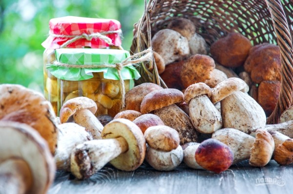 С грибами круглый год! Консервируем, замораживаем, сушим и солим С грибами круглый год! Консервируем, замораживаем, сушим и солим