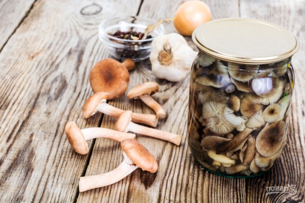 С грибами круглый год! Консервируем, замораживаем, сушим и солим С грибами круглый год! Консервируем, замораживаем, сушим и солим