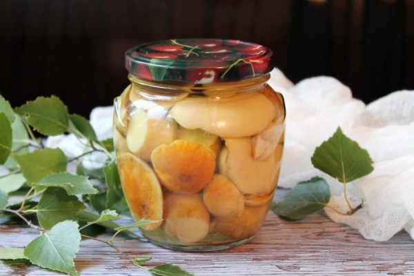 С грибами круглый год! Консервируем, замораживаем, сушим и солим        