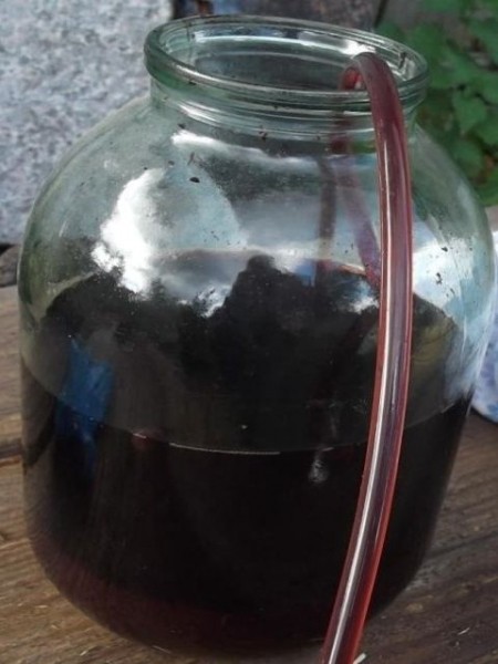 Вино из черноплодной рябины в домашних условиях — простые рецепты Вино из черноплодной рябины в домашних условиях — простые рецепты